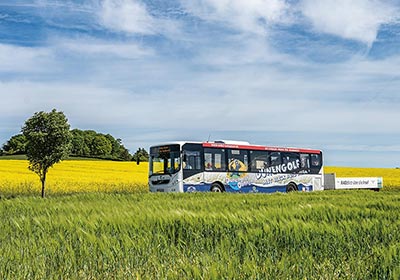 Busfahrt auf Mönchgut