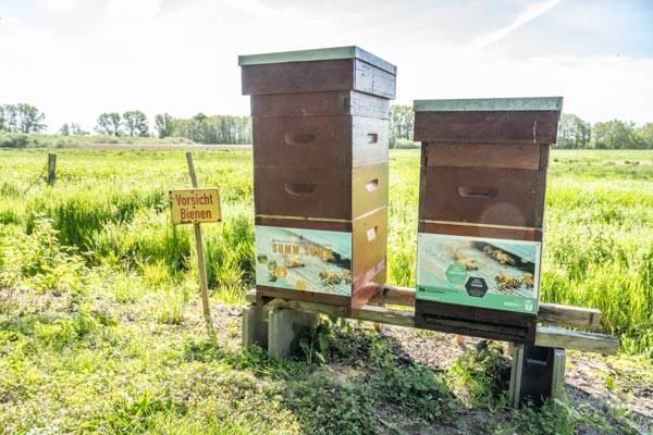 Bienenhaltung in Mönchgut