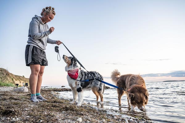 Spazieren am Strand auf Mönchgut