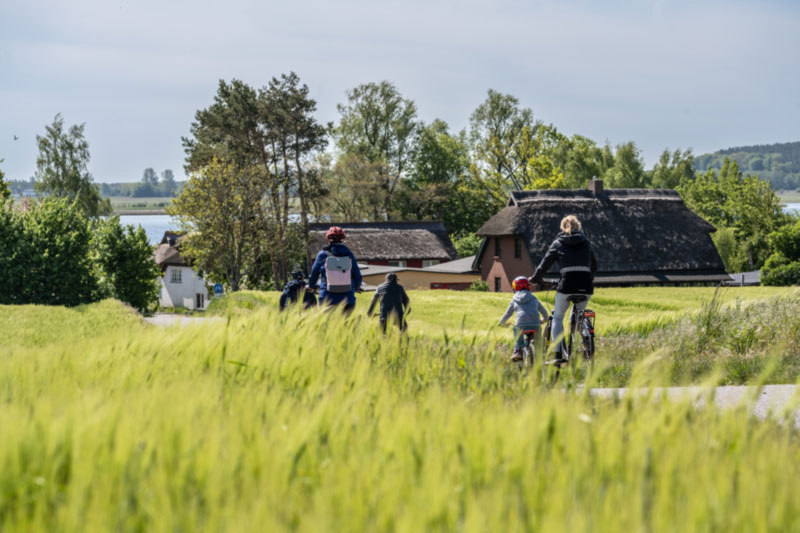 Landschaft Mariendorf