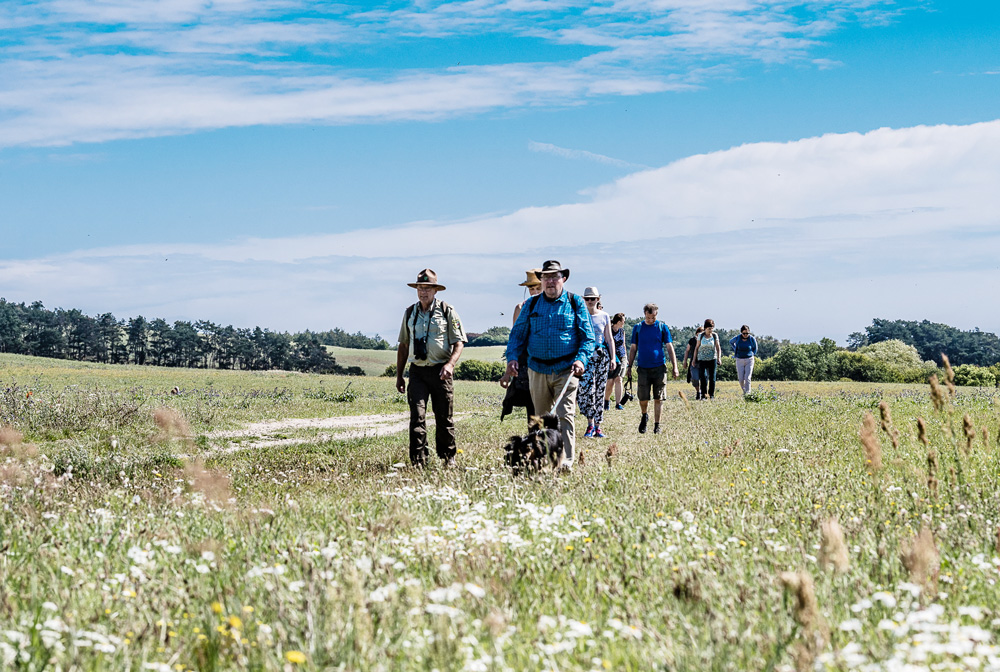 Ranger-<br/>Wanderung