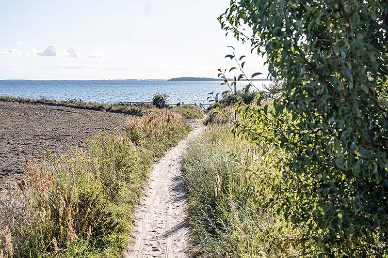 Strand in Alt Reddevitz