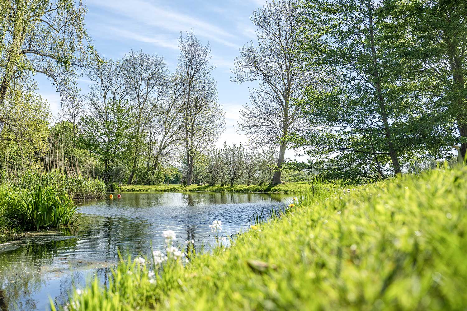 Landschaft Mönchgut