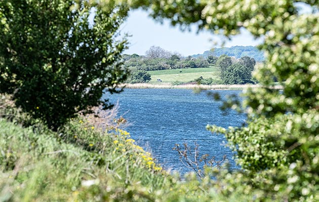 Blick aufs Wasser in Mariendorf