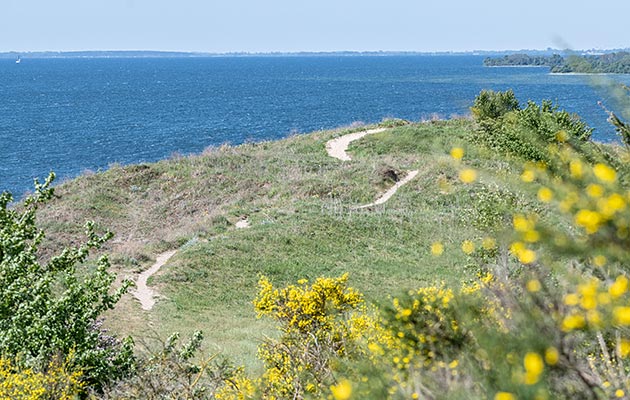 Landschaft Mariendorf